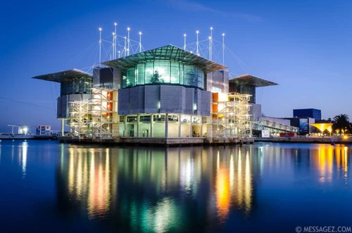 Oceanário de Lisboa in Lissabon — Museum