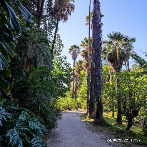 Botanical Garden of Lisbon — বাগান, rated 4/5
