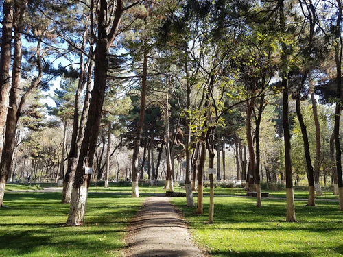 Shahr-e Naw Park in Kabul — Parque