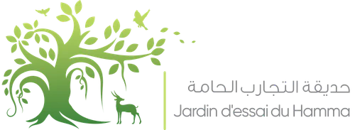 Botanische Tuin Hamma in Algiers — Tuin