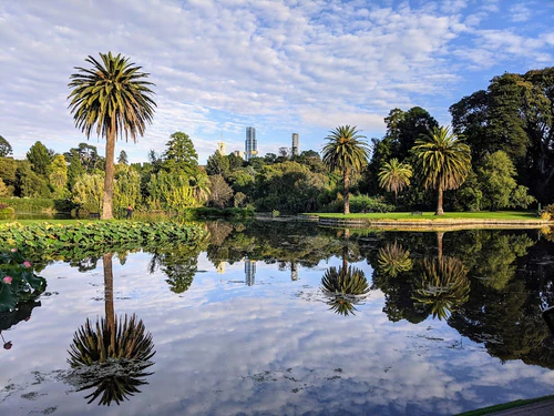 Royal Botanic Gardens Victoria - Melbourne Gardens in Melbourne — Tuin