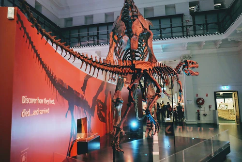 Australian Museum in Sydney — Museum
