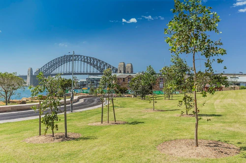 Barangaroo Reserve in Sydney — পার্ক