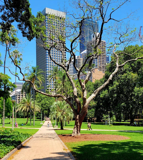 Hyde Park in Sydney — Park