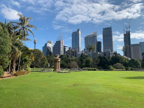 Royal Botanic Garden Sydney in Sydney — Tuin