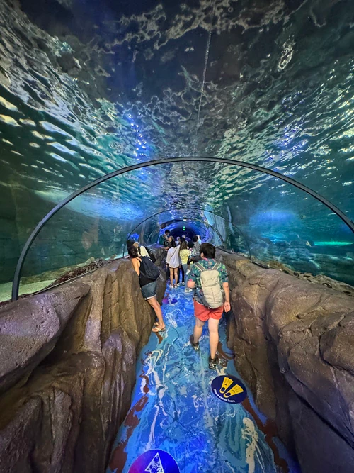 SEA LIFE Sydney Aquarium in Sydney — Aquarium