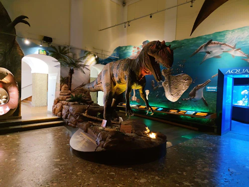 Haus der Natur in Salzburg — Zoo