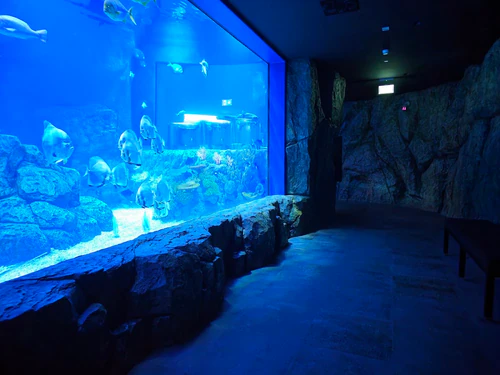 أكواريوم ماراسي وحديقة الحيوان البحرية in المنامة — Aquarium