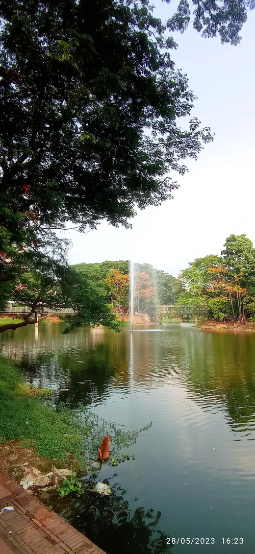 32 No Lake in Dhaka