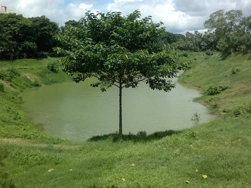 Jezerní park Gulshan Society in Dhaka — Park