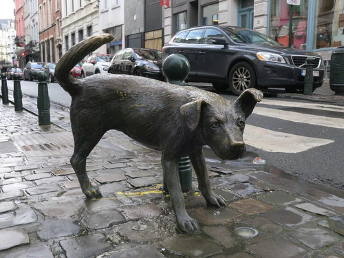 Zinneke Pis in Bruxelles