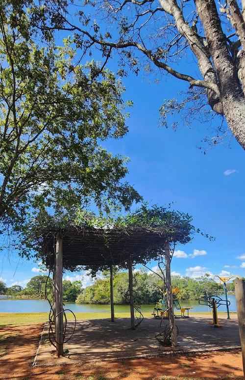 Sarah Kubitschek Şəhər Parkı in Brasília — Park