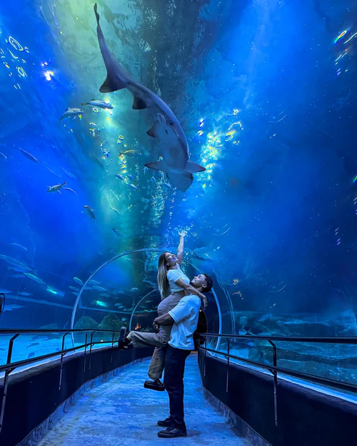 아콰히우 in Rio de Janeiro — Aquarium