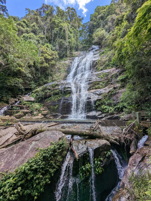 Tijuca National Park in Rio de Janeiro — Nationaal park