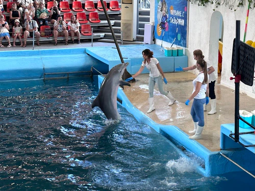Dolphinarium Varna — Aquarium, rated 4.3/5