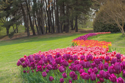 Universitäts-Botanischer Garten Ecopark Varna — Garten, rated 4.6/5