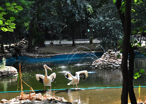 Zoo Varna — Zoo, rated 4.4/5