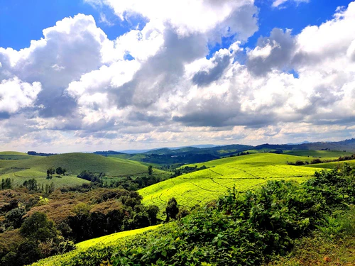 Kibira National Park in Gitega — Nacionālais parks