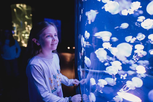 কুইবেক Aquarium — Aquarium, rated 4.3/5