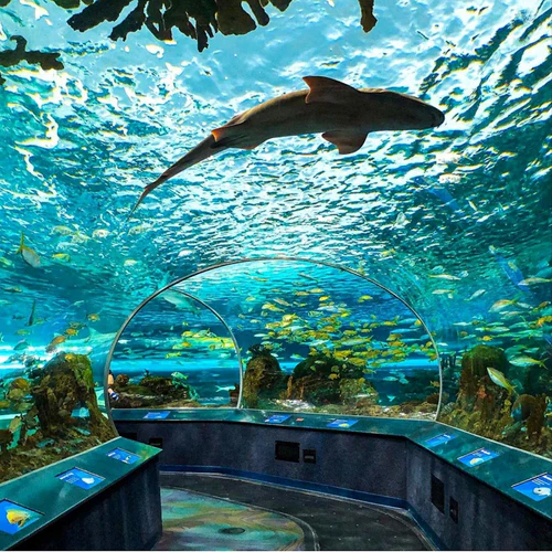 Ripley’s Aquarium of Canada in Toronto — Aquarium