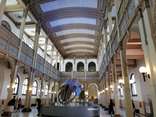 Nationaal Museum voor Natuurlijke Geschiedenis in Santiago — Museum