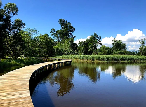 Hong Kong Wetland Park in Hong Kong — 公園