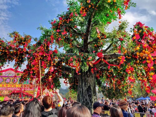 Lam Tsuen Wishing Tree, rated 3.9/5