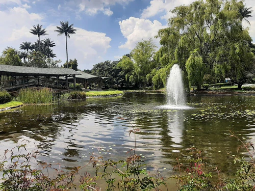 Jardín Botánico de Bogotá José Celestino Mutis in Bogotá — Tuin