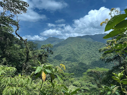 Braulio Carrillo Nationaal Park in San José — Nationaal park