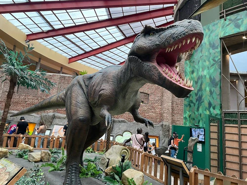 Kindermuseum in San José — Museum