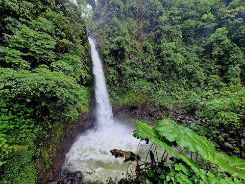 La Paz Waterfall Gardens Nature Park in San José — Park