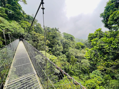 Puentes Colgantes Arenal, Mistico Park in San José — Natuurwonder