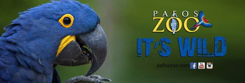 Pafos zoološki vrt — Zoo, rated 4.4/5
