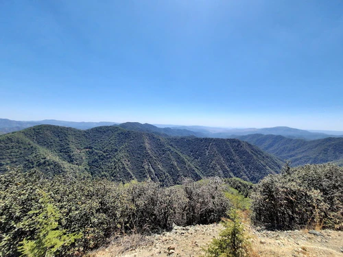 Paphos Forest — Prirodno čudo, rated 4.7/5