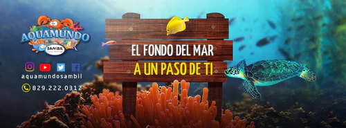AquaMundo • Sambil — Aquarium, rated 4.5/5