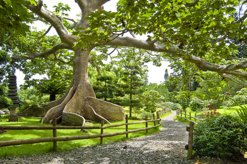 National Botanical Garden Dr. Rafael María Moscoso in Santo Domingo — Trädgård
