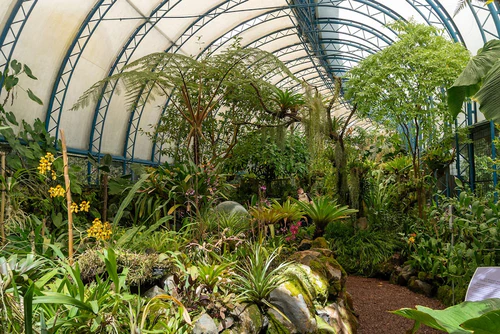 Quito Botanische Tuinen in Quito — Tuin