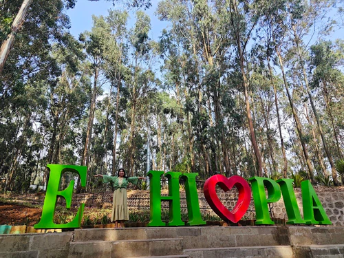 Entoto Park in Addis Abeba — Park