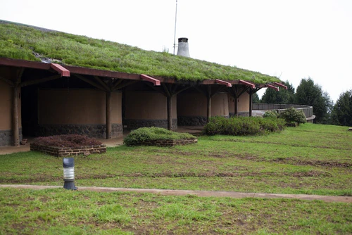Gulele Botanische Tuin in Addis Abeba — Tuin