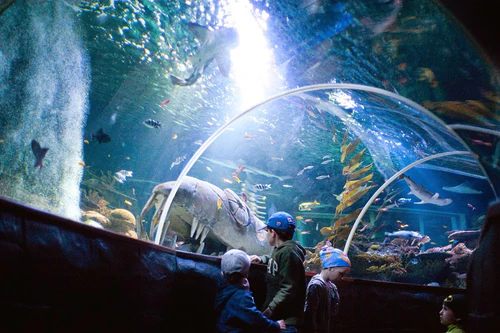 SEA LIFE Helsinki — Aquarium, rated 4.3/5