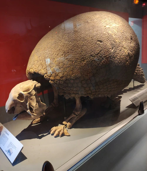 Natural History Museum — মিউজিয়াম, rated 4.6/5