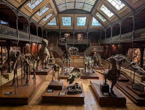 Musée Cinéma et Miniature in লিওন — মিউজিয়াম
