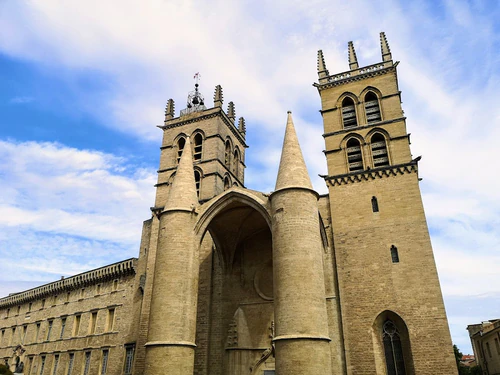 Cathédrale Saint-Pierre de Montpellier — ধর্মীয় স্থান, rated 4.6/5