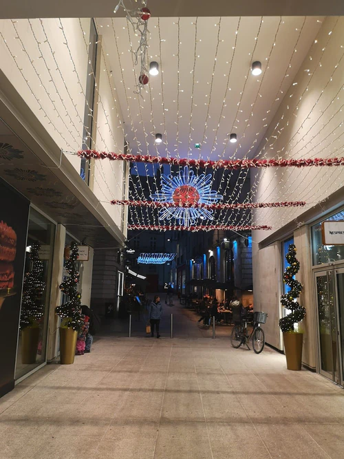 Passage Pommeraye in ন্যান্তে — বাজার