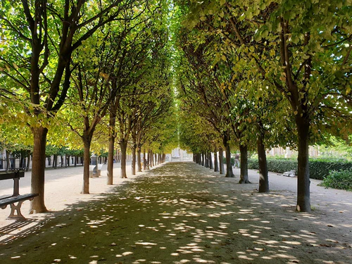 Jardin du Palais Royal — বাগান, rated 4.7/5