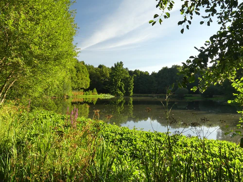 Parc des Gayeulles — Parco, rated 4.5/5
