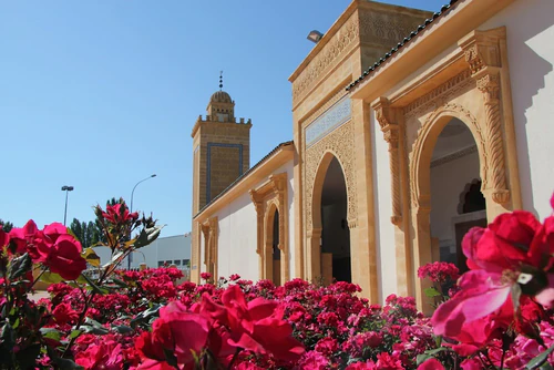 Grande Mosquée Mohammed VI de Saint-Étienne — ধর্মীয় স্থান, rated 4.8/5
