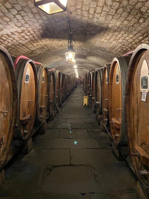 Cave Historique des Hospices de Strasbourg in Strasbourg