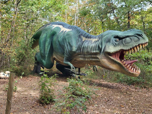 Animaparc in Toulouse — Zoo