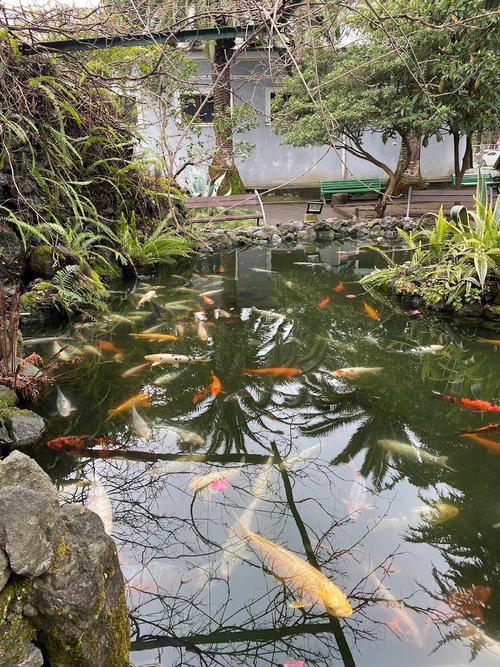 Batumi Aquarium — Aquarium, rated 3.8/5